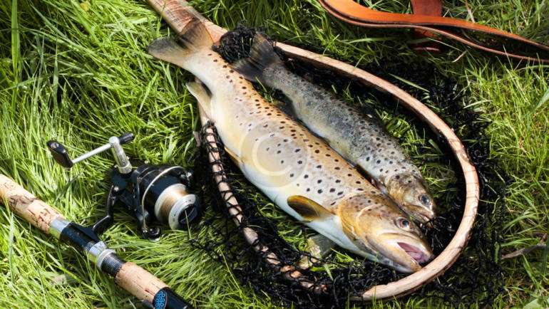 Now to Keep Your Fishing Tackle Super Organized