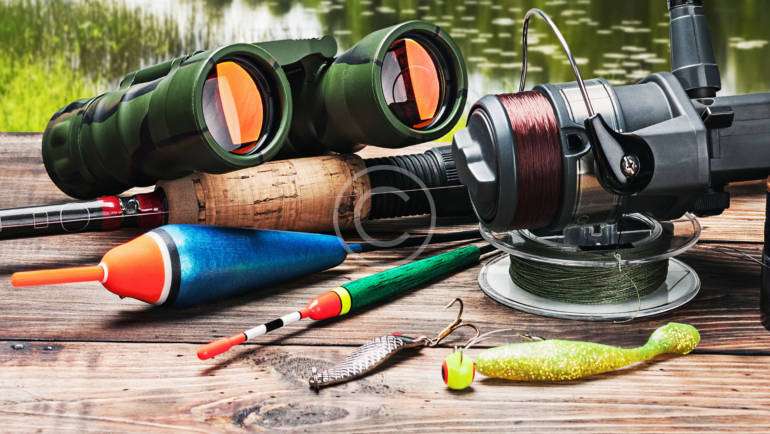 Hunters Encouraged to Report Sightings of Sick Deer